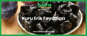 Kuru Erik Faydaları- onlinekuruyemis.com