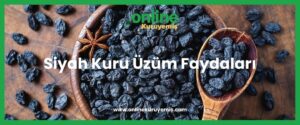 Siyah Kuru Üzüm Faydaları- onlinekuruyemis.com